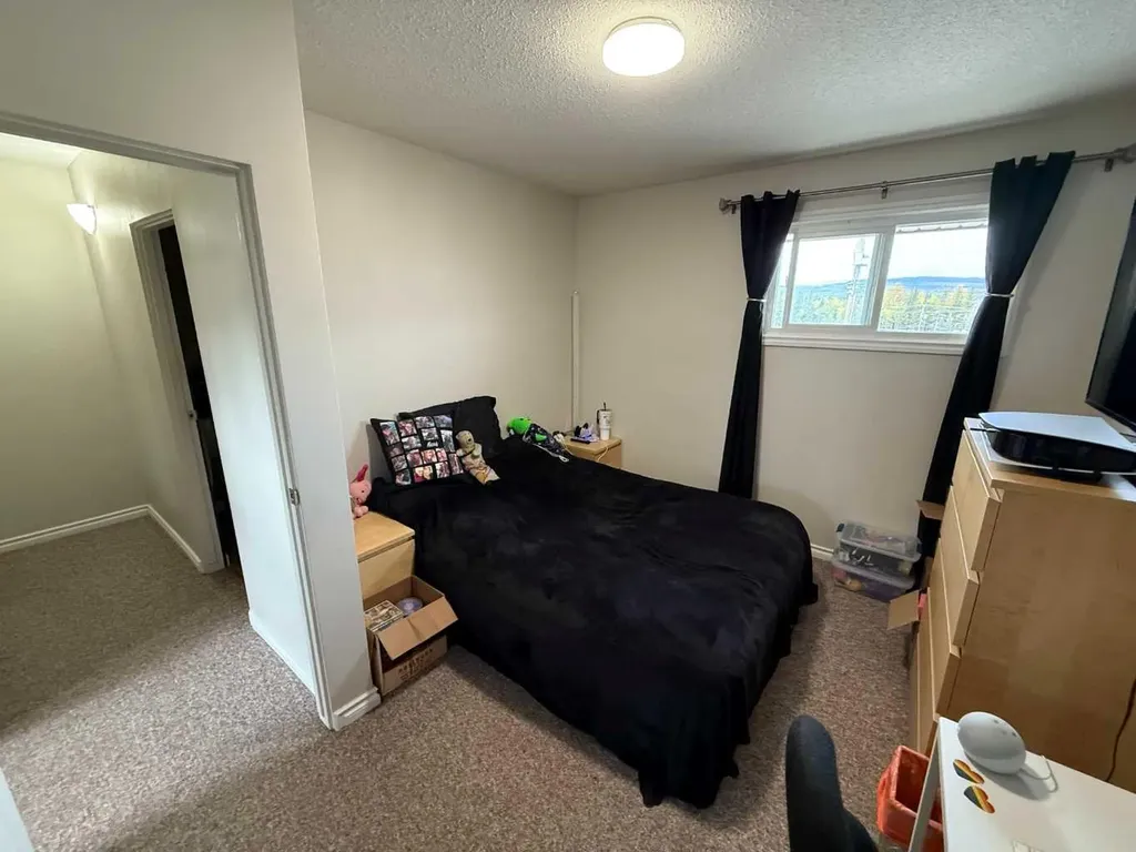 114 Hardisty Avenue Hinton AB T7V1B5