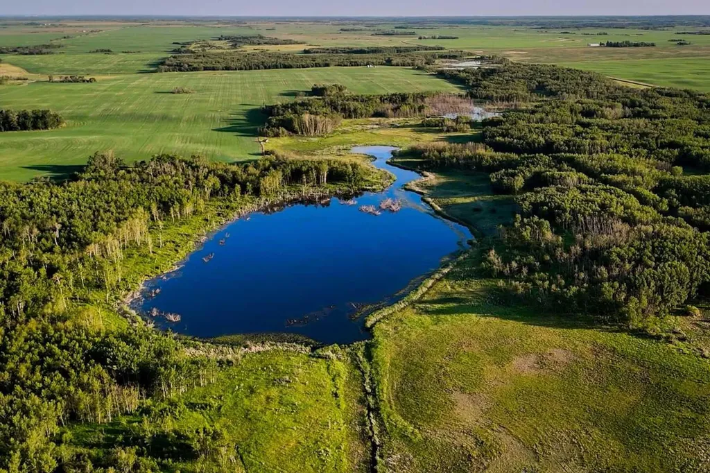 9-43-18-W4 Rural Camrose County AB T0B 1H0