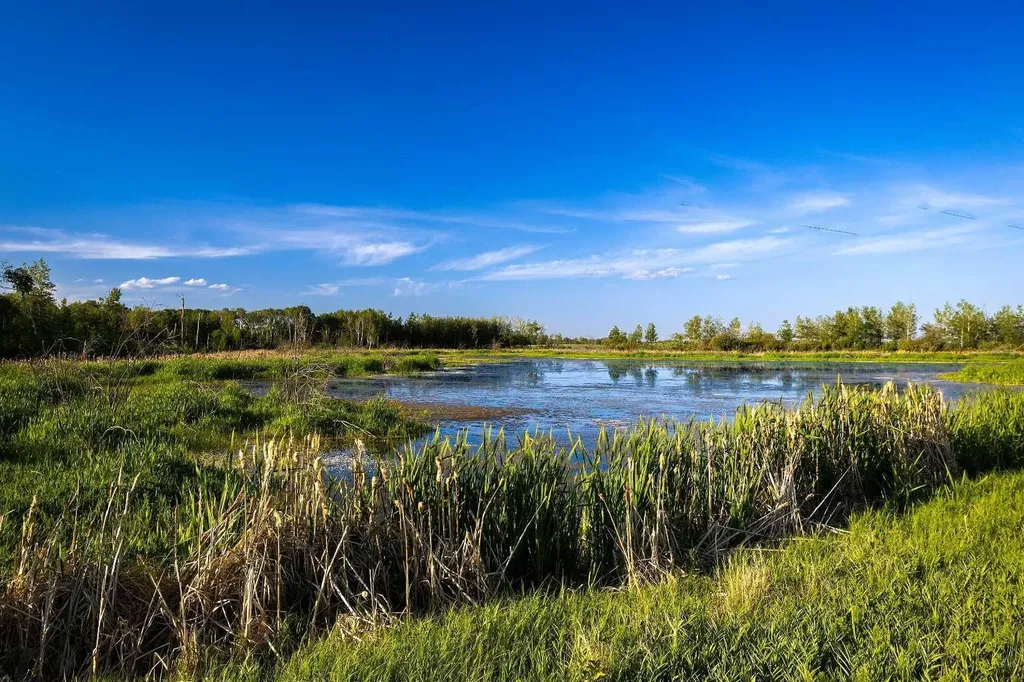 9-43-18-W4 Rural Camrose County AB T0B 1H0