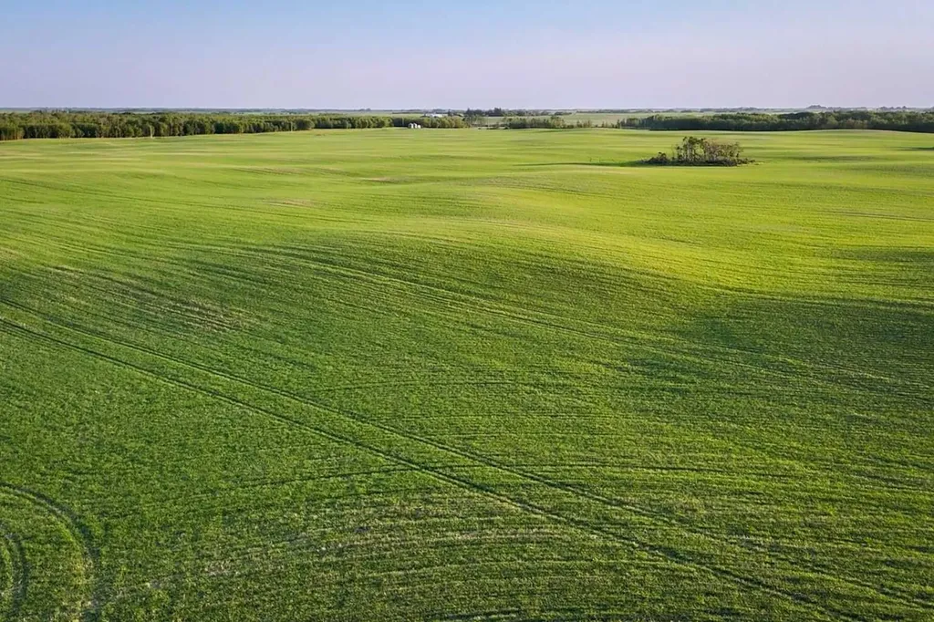 9-43-18-W4 Rural Camrose County AB T0B 1H0