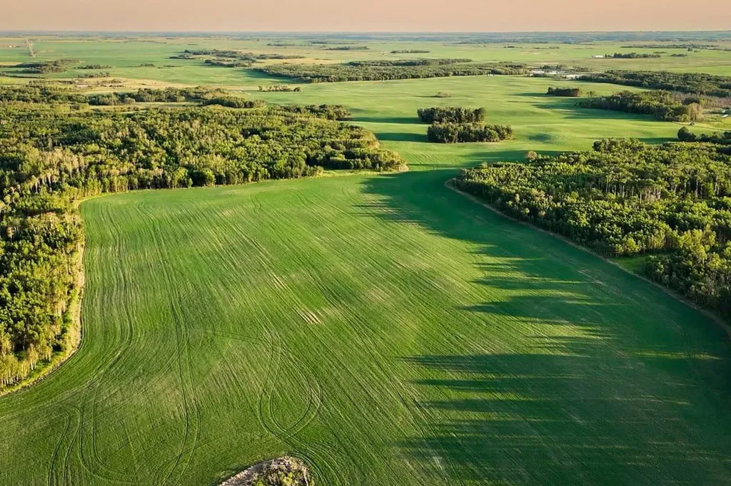 9-43-18-W4 Rural Camrose County AB T0B 1H0