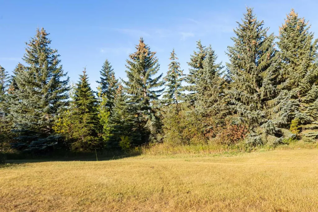 32384 Highway 16 Rural SK S0M 3A0