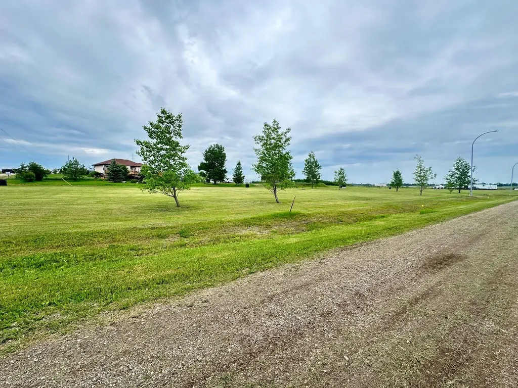 Lot 8, Block 12 2 Street W Waseca SK S0M 3A0
