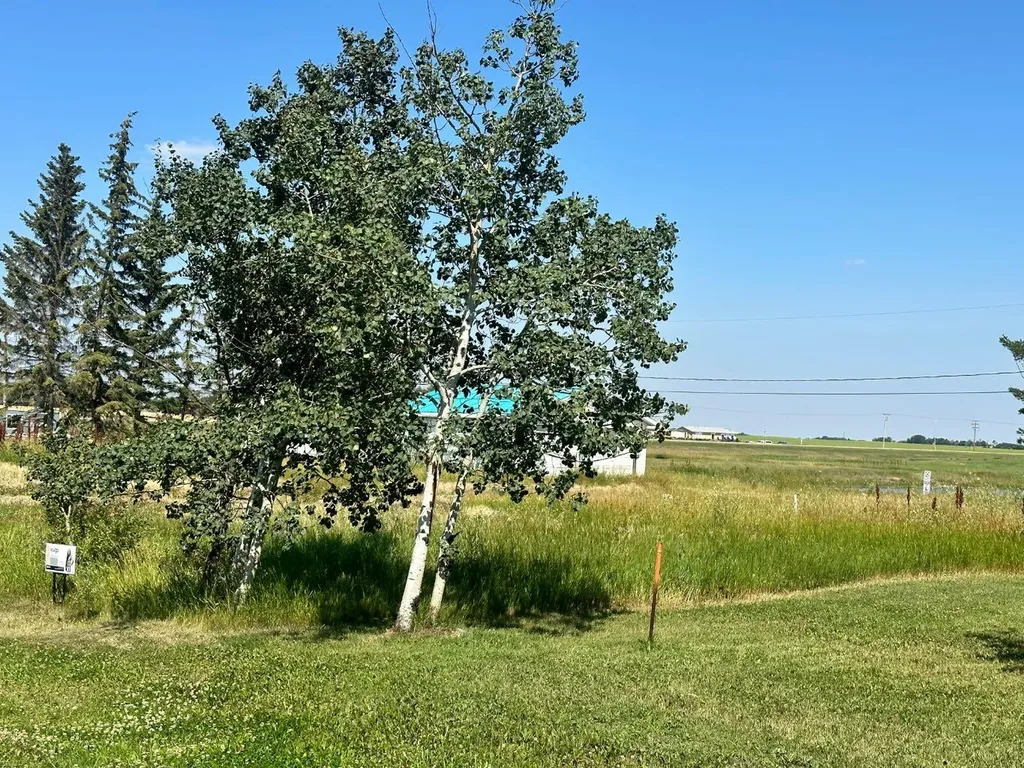 211 Main Street Waseca SK S0M 3A0