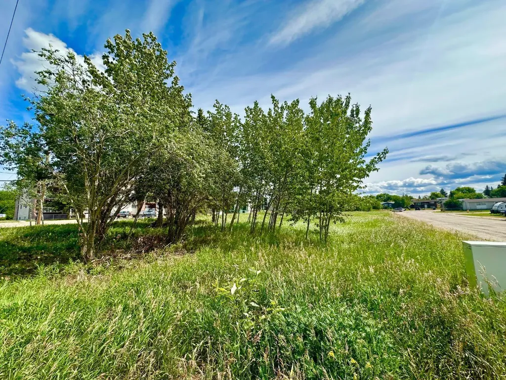 9825 99 Avenue Lac La Biche AB T0A 2C0