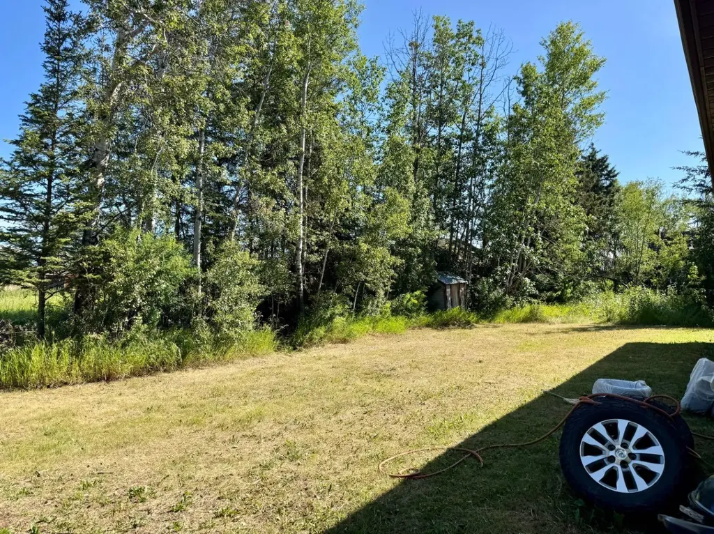 51020 Twp Road 862.5 Rural Clear Hills County AB T0H 1K0