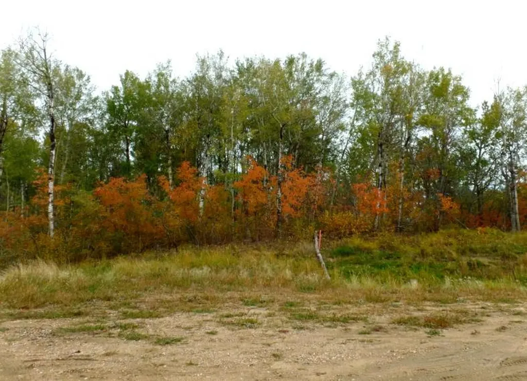 1520018 - 1 - 1 Poplar Point Rural Lac La Biche County AB T0A 2C0