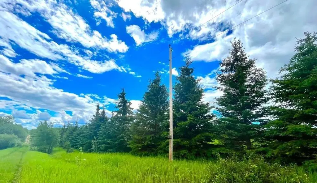 12528 Twp Road 683 # NE 19 Lac La Biche AB T0A 2C0