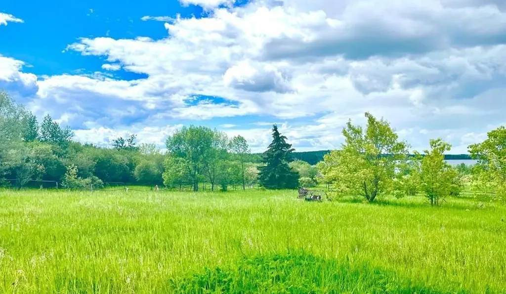 12528 Twp Road 683 # NE 19 Lac La Biche AB T0A 2C0