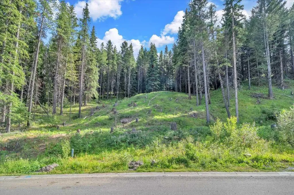 262 Southmore Place Blairmore AB T0K 0E0