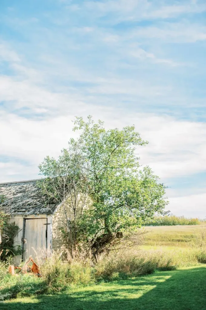4406 47 Avenue Stettler AB T4K 0B7