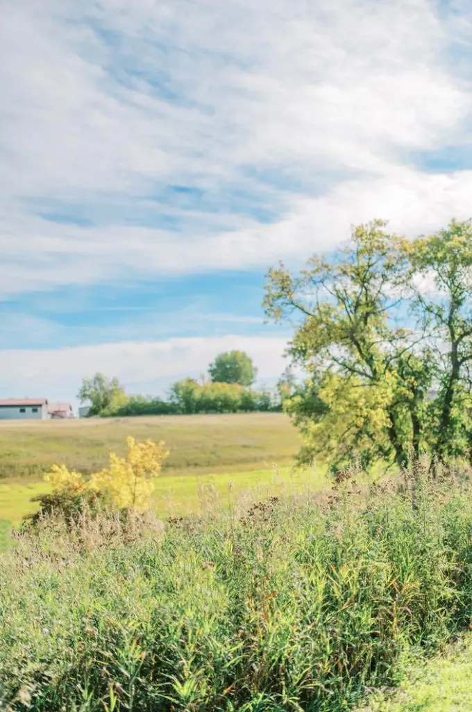 4406 47 Avenue Stettler AB T4K 0B7