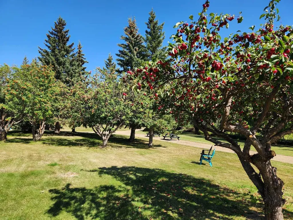 5430 51a Street Bashaw AB T0B 0H0