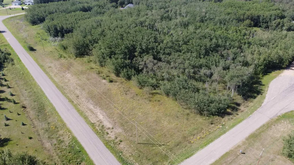 1 - 65017 Twp Road 442b Rural Wainwright No. 61 M.d. Of AB T9W 1T4