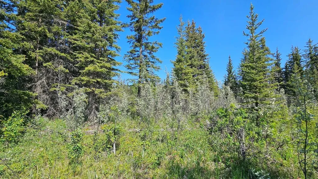 34364 Range Road 42 Rural Mountain View County AB T0M 1X0