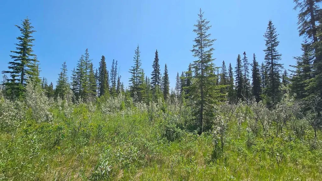 34364 Range Road 42 Rural Mountain View County AB T0M 1X0