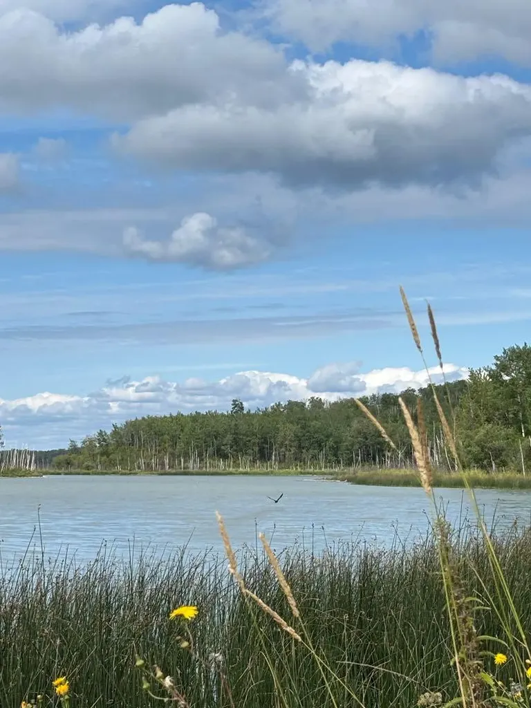14308 Twp Road 670 Rural Lac La Biche County AB T0A 2C0