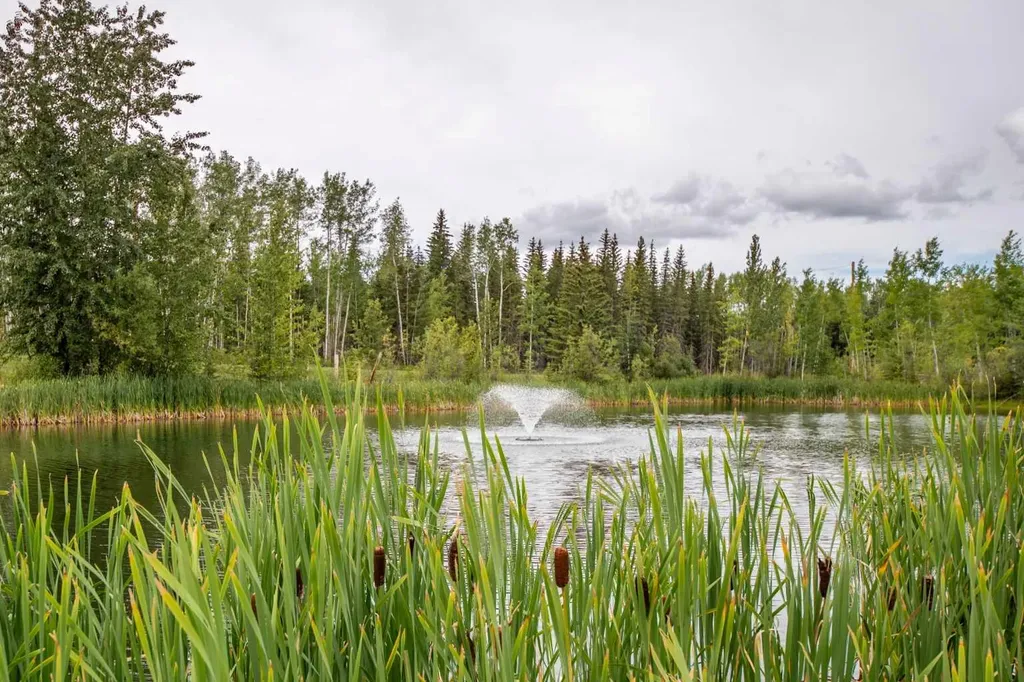 69067 Highway 40 Grovedale AB T0H 1X0