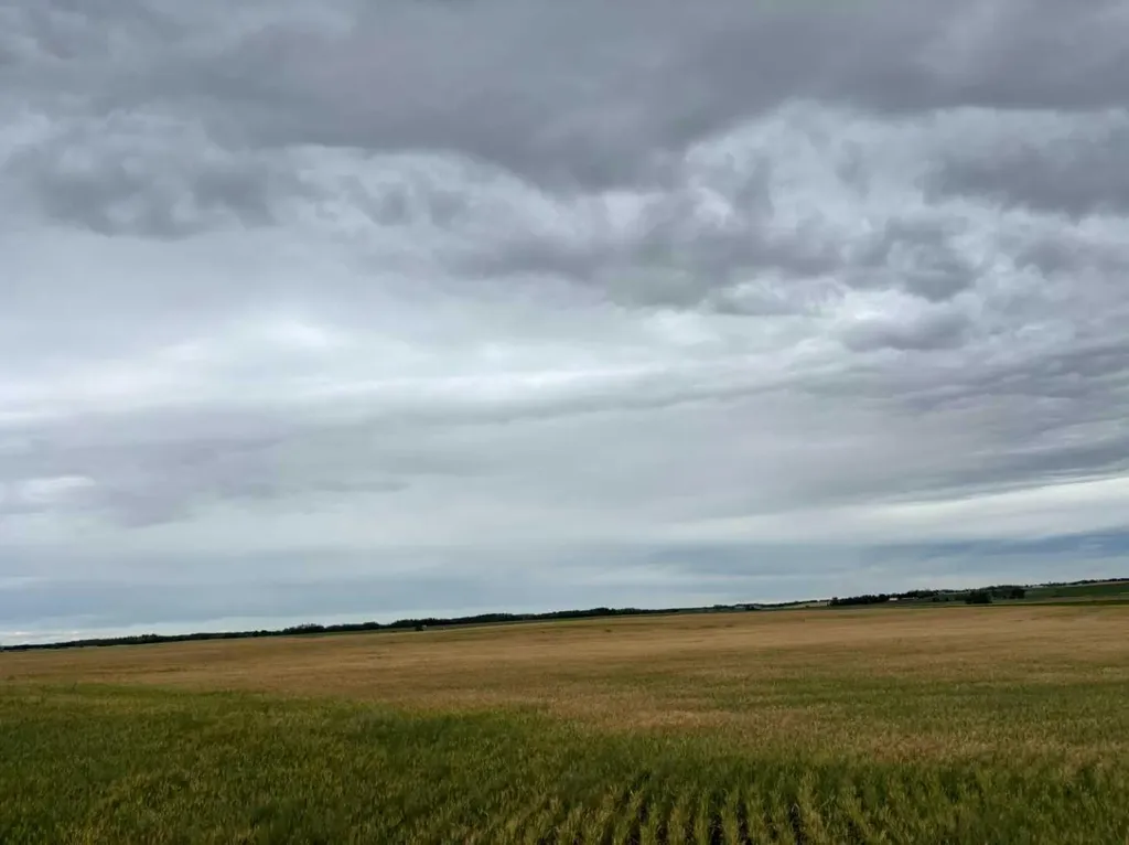 NE 15 31 27 W4 Rural Mountain View County AB T0M1X0