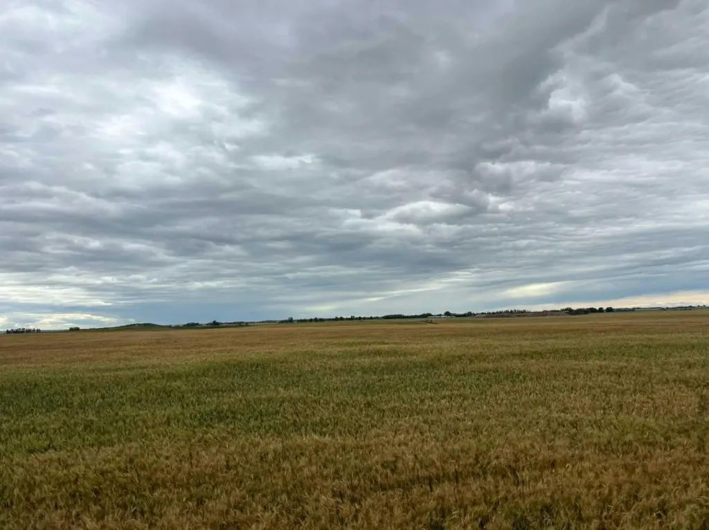 NE 15 31 27 W4 Rural Mountain View County AB T0M1X0