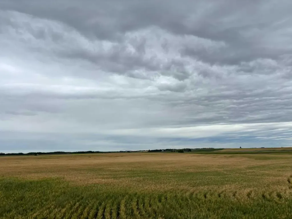 NE 15 31 27 W4 Rural Mountain View County AB T0M1X0