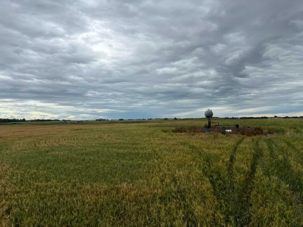 NE 15 31 27 W4 Rural Mountain View County AB T0M1X0