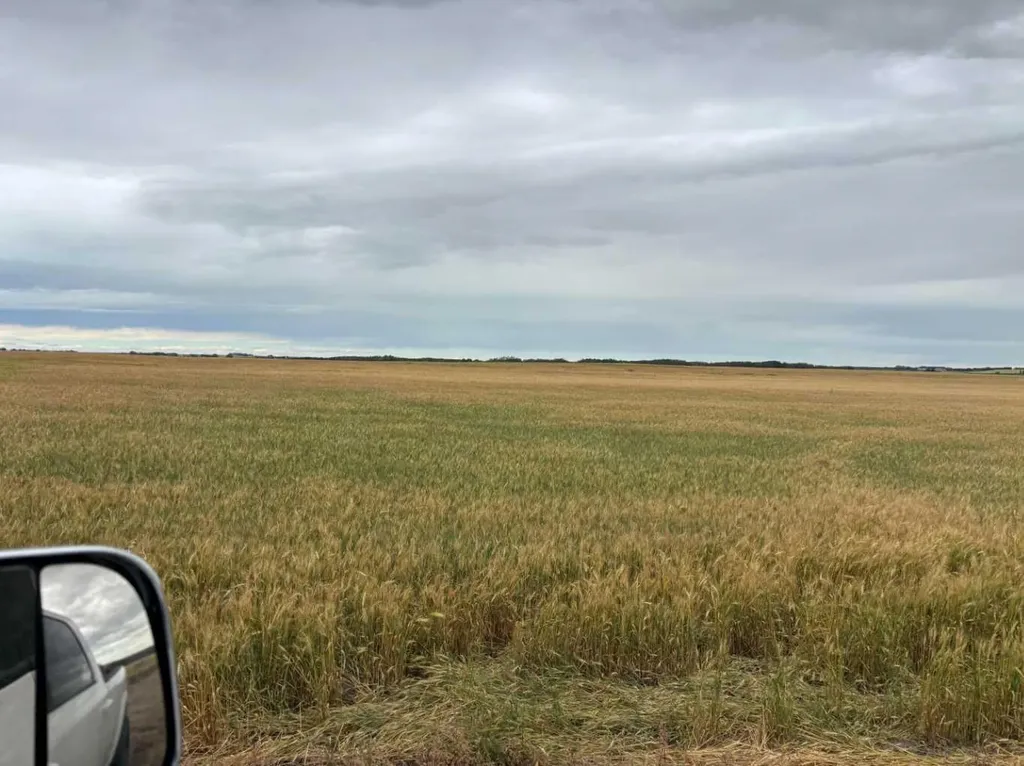 NE 15 31 27 W4 Rural Mountain View County AB T0M1X0