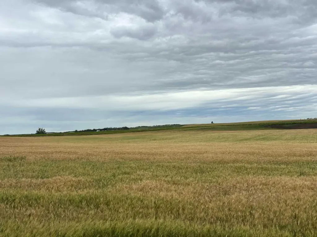 NE 15 31 27 W4 Rural Mountain View County AB T0M1X0