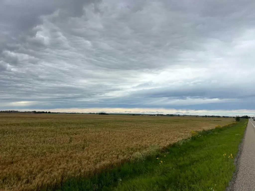 NE 15 31 27 W4 Rural Mountain View County AB T0M1X0