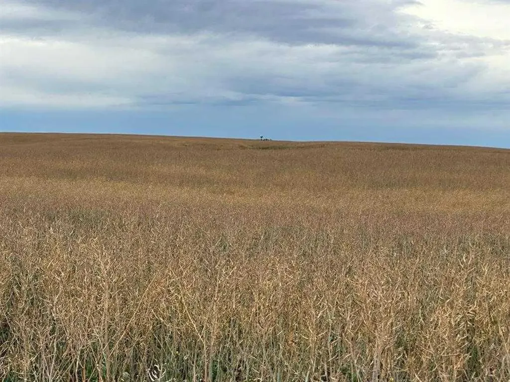 NE 15 31 27 W4 Rural Mountain View County AB T0M1X0