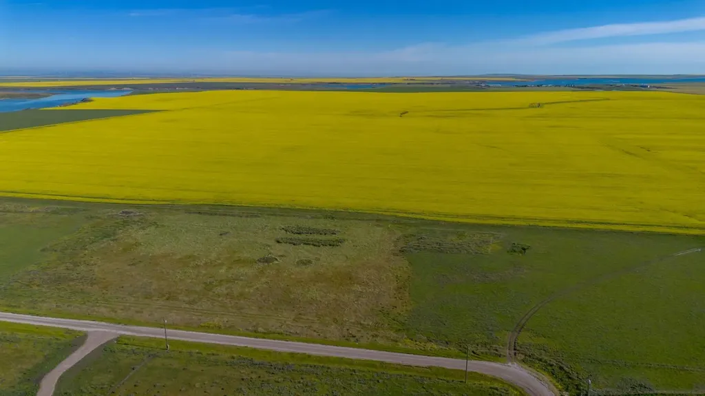 6 Susquehanna Avenue Rural Cardston County AB T0K 0K0