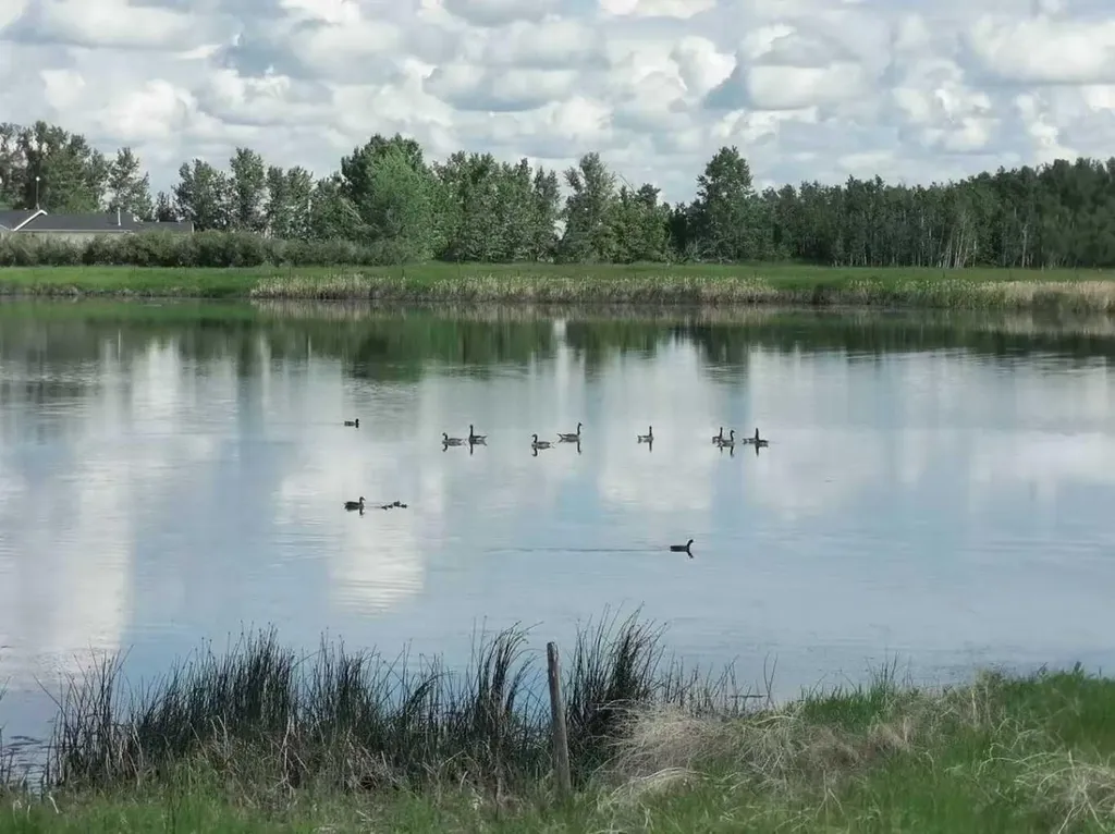 273250 Township Road 250 Road E Rural Rocky View County AB T1Z 0Y5