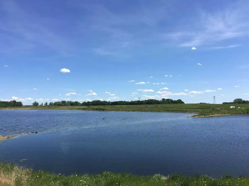 273250 Township Road 250 Road E Rural Rocky View County AB T1Z 0Y5