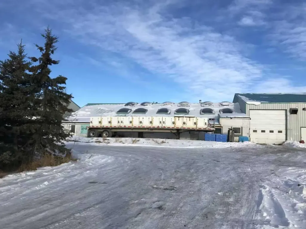 273250 Township Road 250 Road E Rural Rocky View County AB T1Z 0Y5