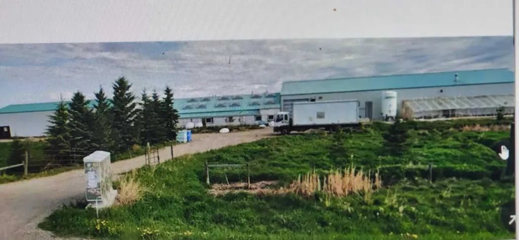 273250 Township Road 250 Road E Rural Rocky View County AB T1Z 0Y5