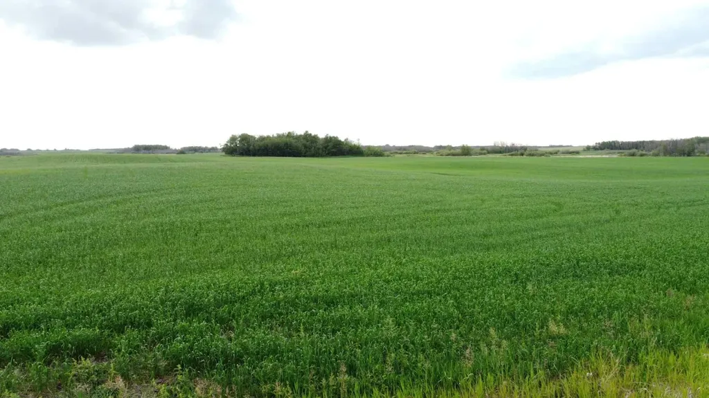 163 Range Rural Beaver County AB T0B 0H8