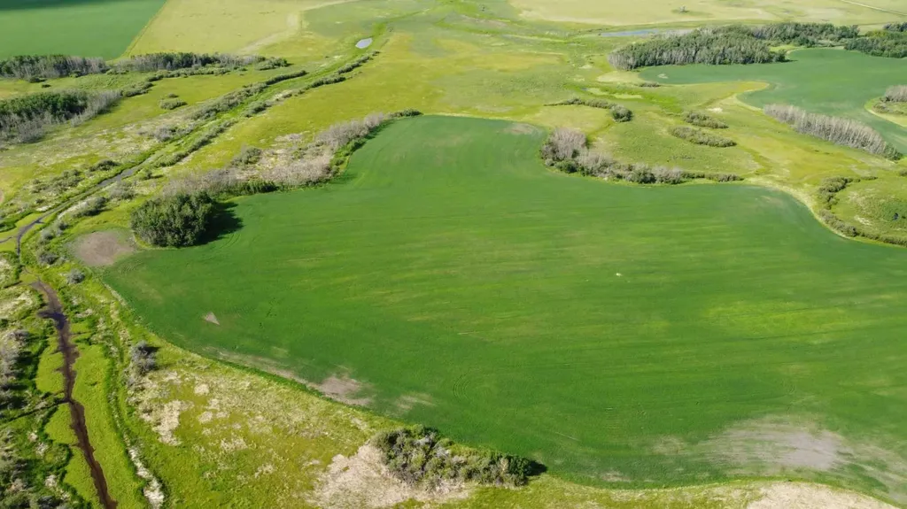163 Range Rural Beaver County AB T0B 0H8