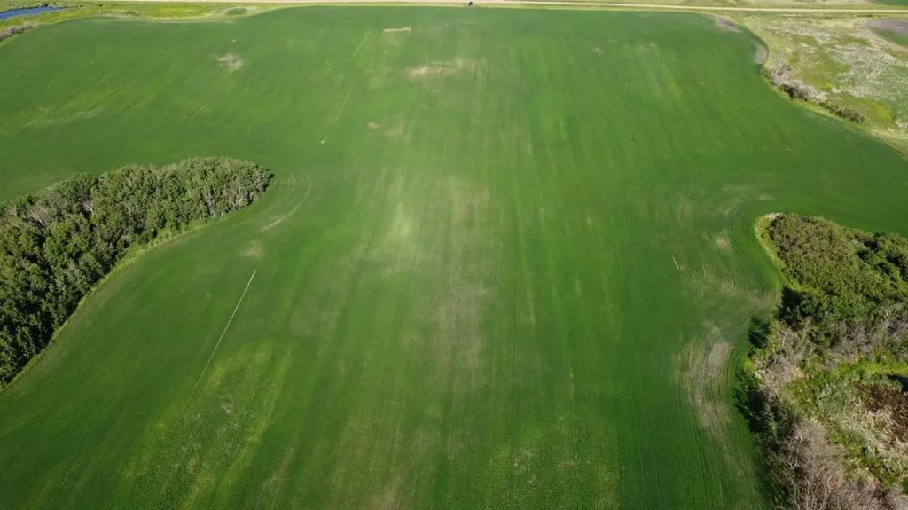 163 Range Rural Beaver County AB T0B 0H8