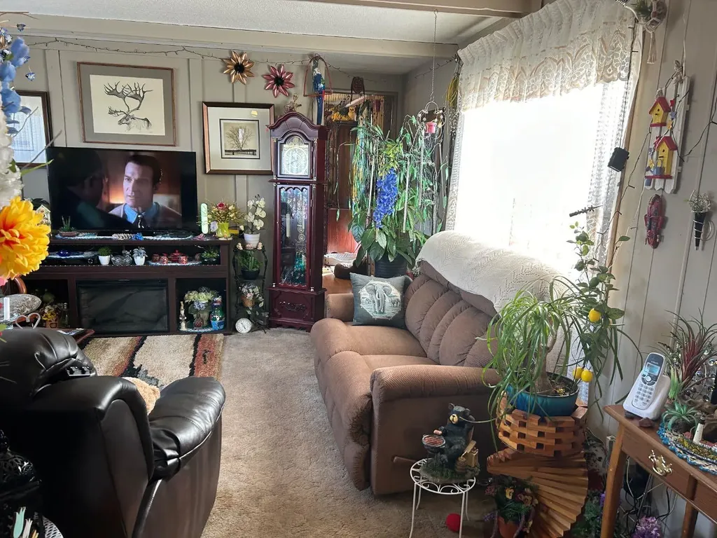 207 2 Avenue N Morrin AB T0J 2B0