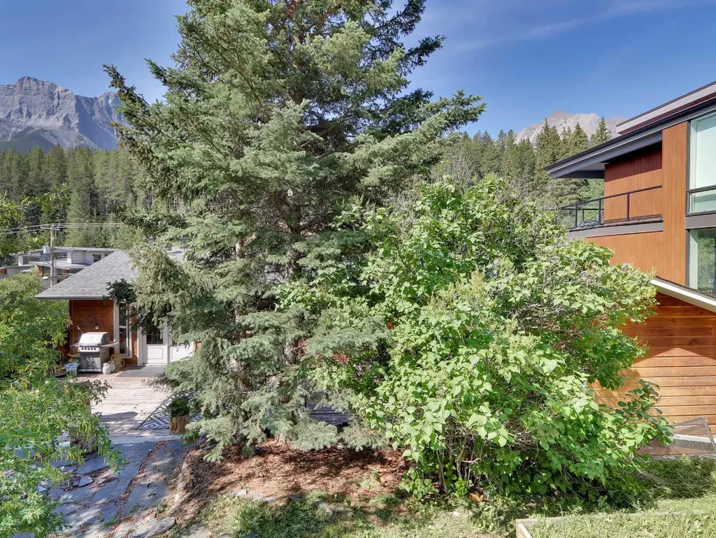 252 Three Sisters Drive Canmore AB T1W2M4
