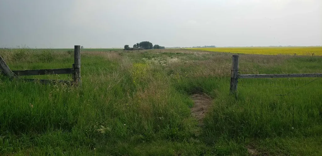 234082 Rge Road 264 Rural Wheatland County AB T1P 0X4