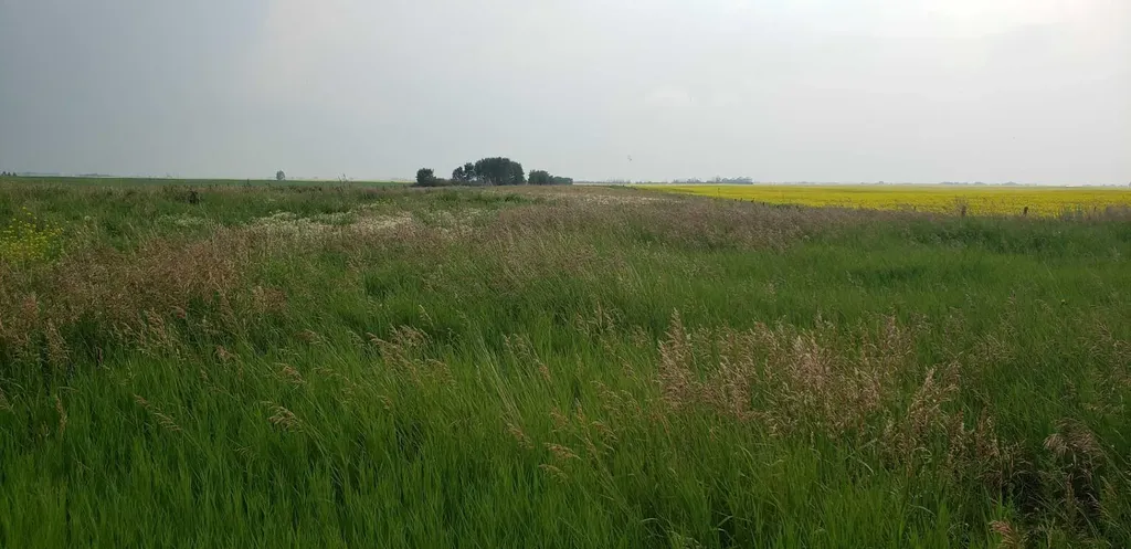 234082 Rge Road 264 Rural Wheatland County AB T1P 0X4