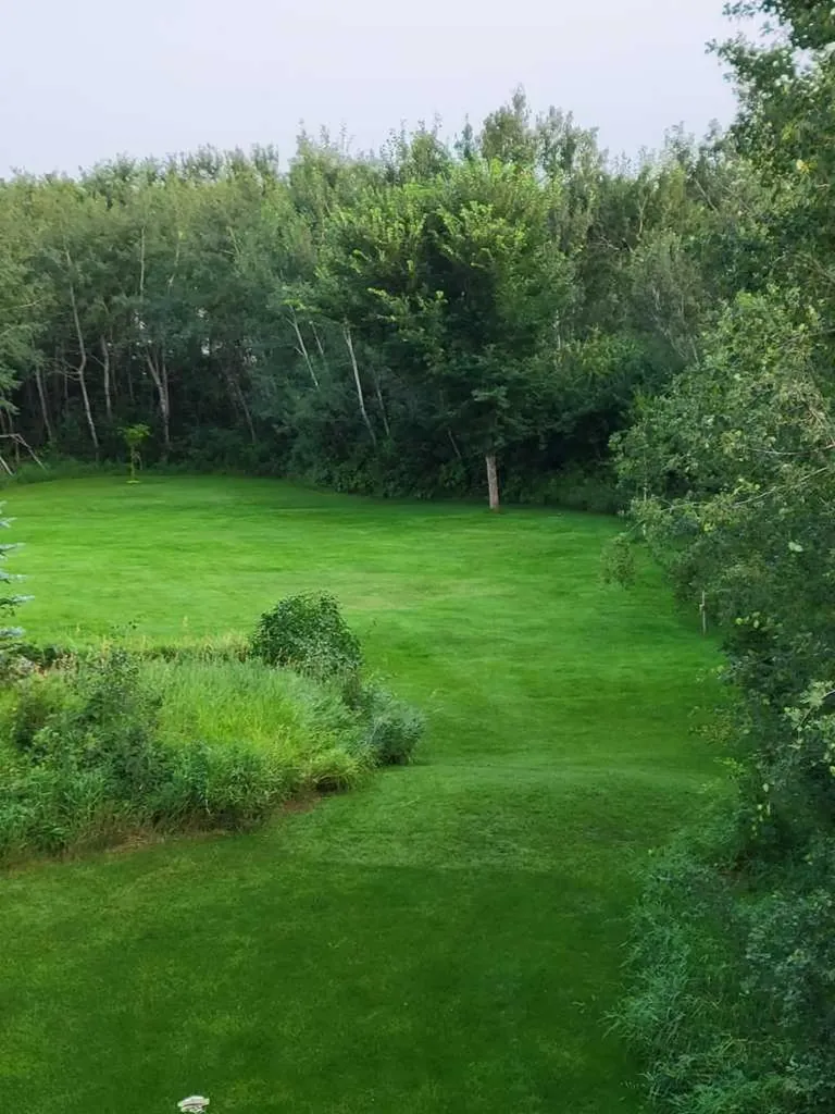 6 Cedar Crescent Wainwright AB T9W 1T2