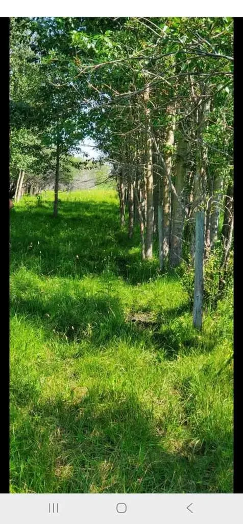 385057A Rge Road 4-3 Street Rural Clearwater County AB T0M 0X0