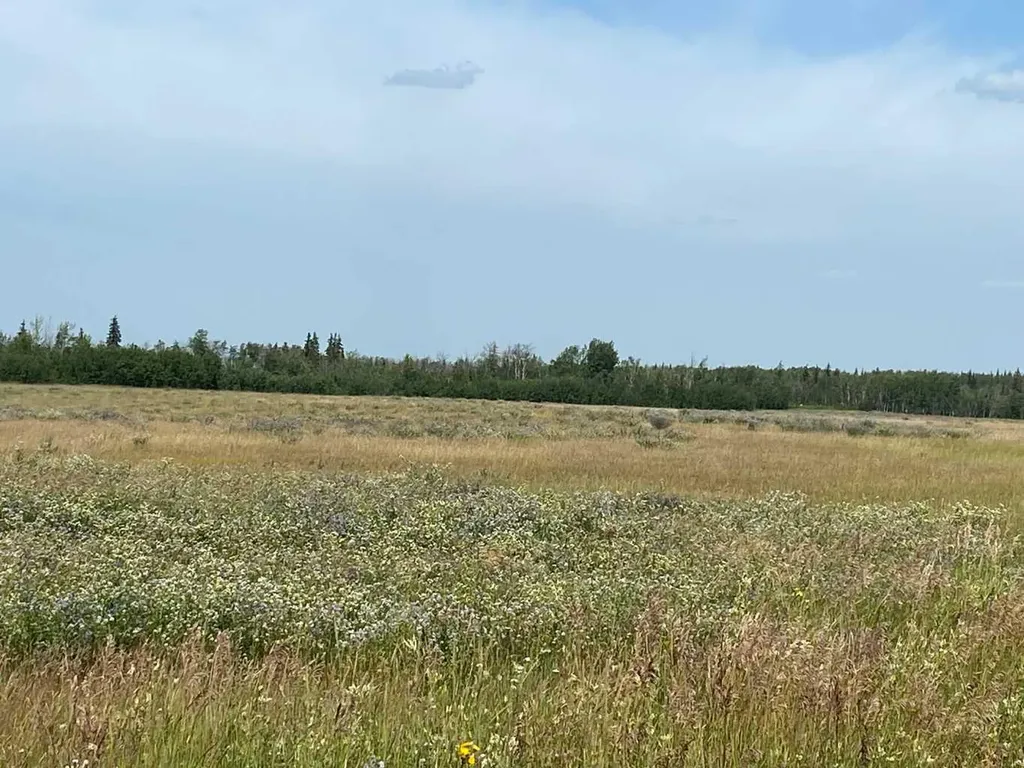 NE 26 78 7 W6 Rural Saddle Hills County AB T0H 3G0