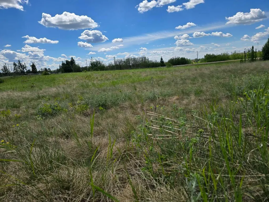 503 Dunes Ridge Drive Rural Ponoka County AB T4J 0B3