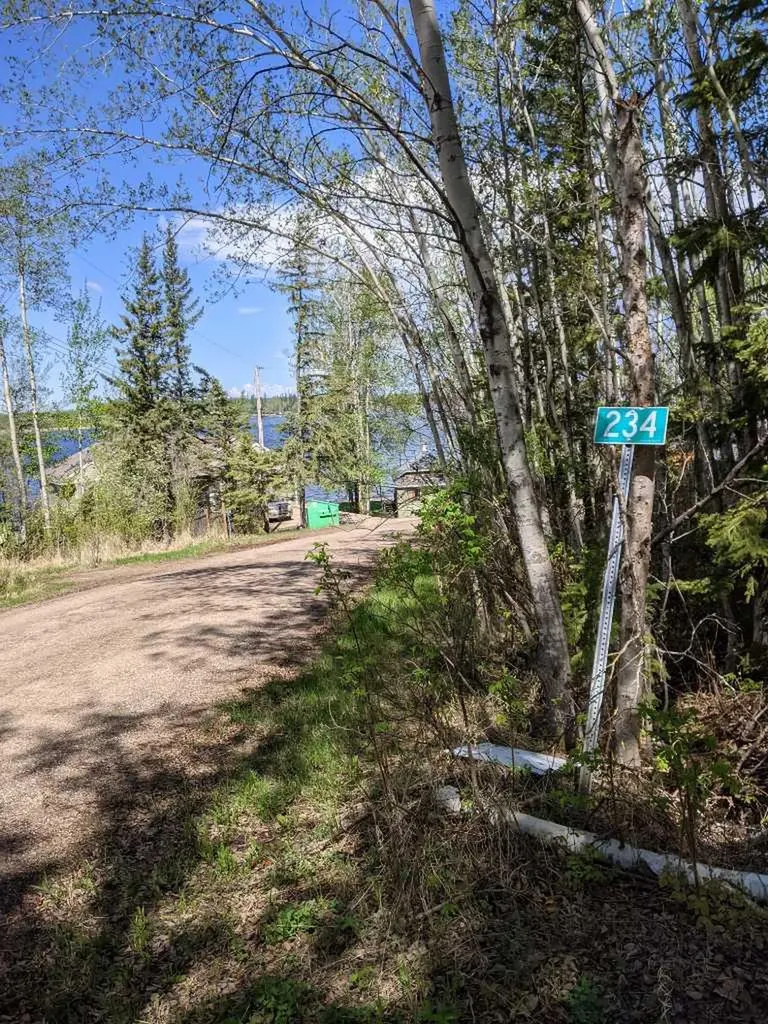 15538 Old Trail Plamondon AB T0A 2T0