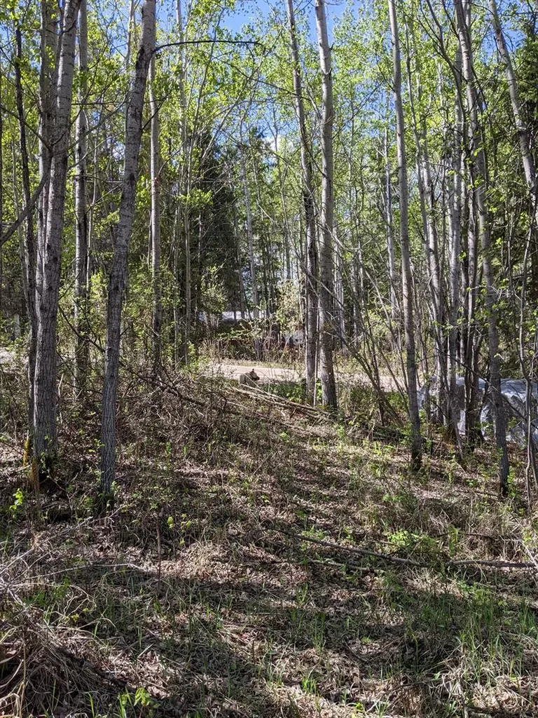 15538 Old Trail Plamondon AB T0A 2T0