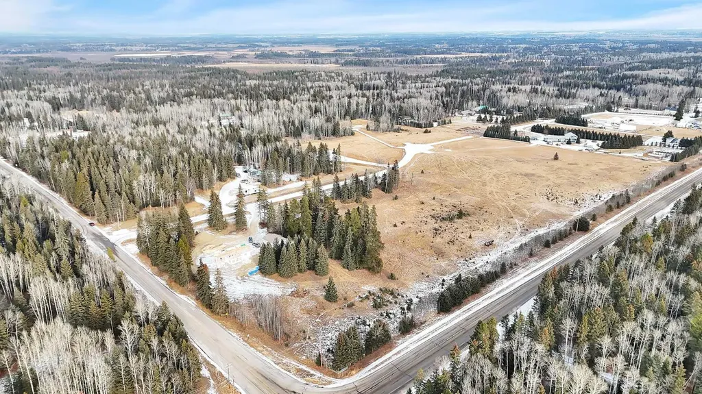 205 Fox Stone Place Rural Clearwater County AB T4T 2A4