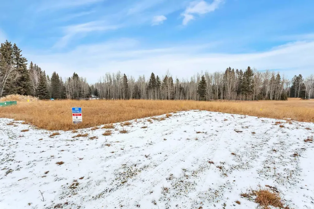 205 Fox Stone Place Rural Clearwater County AB T4T 2A4